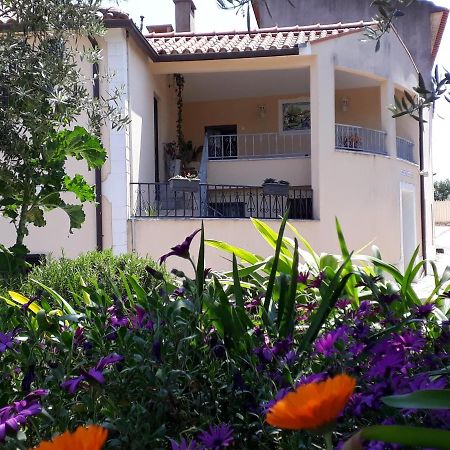 Casa Dos Amigos Βίλα Anciao Εξωτερικό φωτογραφία