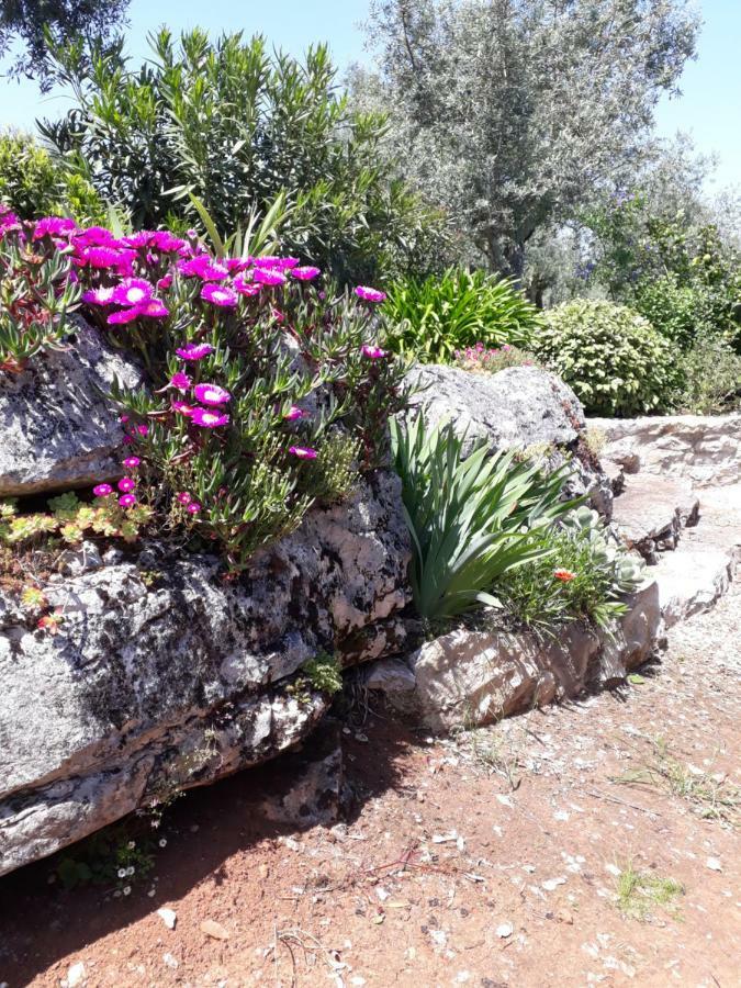 Casa Dos Amigos Βίλα Anciao Εξωτερικό φωτογραφία
